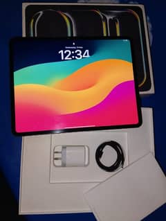 ipad m4 13inch