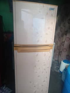 Orient fridge