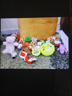 All stuff toys only in 3k