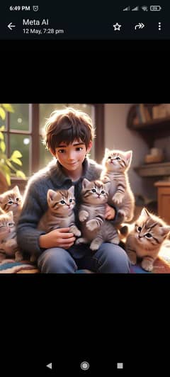 Cute kitten