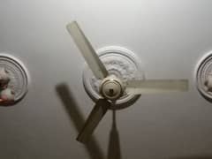 Good condition 4 fan for sale