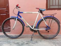 phoenix bicycle