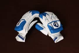 DL Bating Gloves|Cricket Gloves
