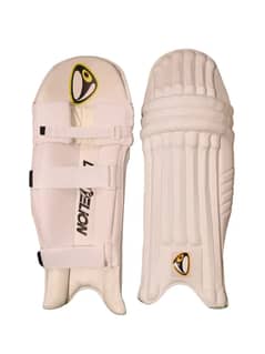 DL Thai Pad|Cricket Batting Thai Pad|Cricket Bags|Cricket Kits