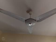 1 fan sk 1 fan super