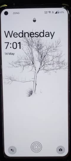 one plus 9 5g