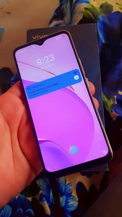 vivo