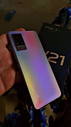 vivo