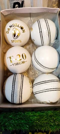 DL white (2 Piece) Hard Balls|Cricket Balls