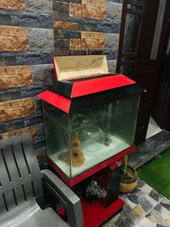 aquarium med size