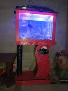 Aqarium size 2/2