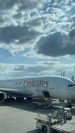Travel Consultant