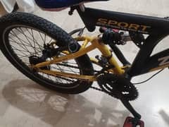 zoom sports