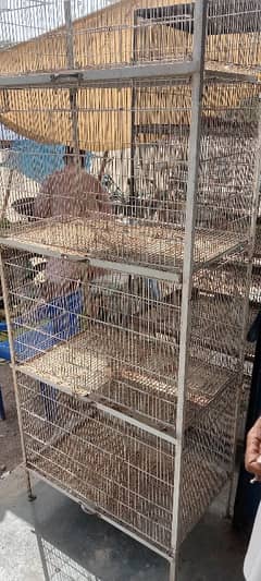 Birds 4 portion folding cage