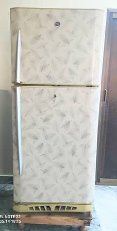 Pel refrigerator Large