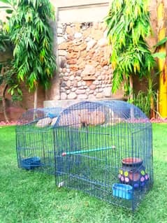 The cages