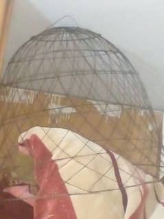 hen bid cage for sale