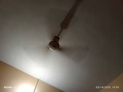 fan for sale