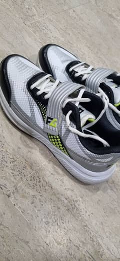 FG DON HARDBALL SPORT SHOES 42/8 SIZE