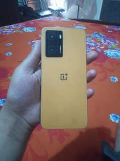 one plus Nord 20 se 6 128 non pta