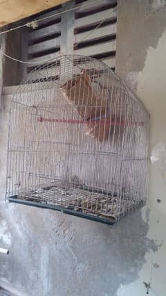 MOTI CHADAR LOHE KA CAGE