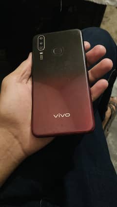 Vivo
