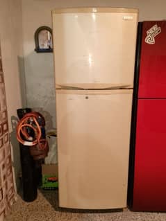 Singer fridge
