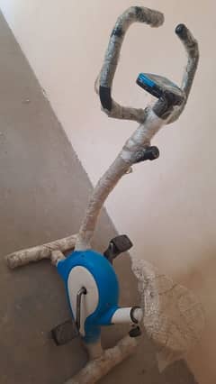 Exercise Cycle in A1 condition