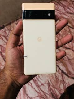 google pixel 6 pro approved