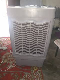 03024538436