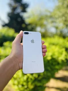 Iphone 7plus 128gb PTA approved
