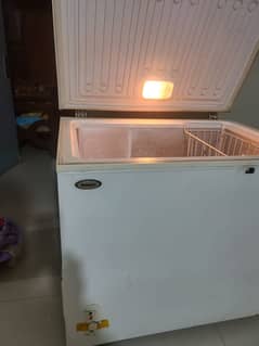 Waves deep freezer WDF-310