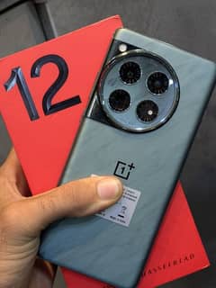 one plus 12.16+4/512. official pta aprov 10/10