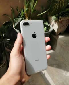 iPhone 8 Plus | Non Pta | 64 GB