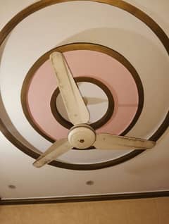ceiling