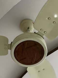 Ceiling Fans Royal Fans