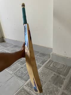 New