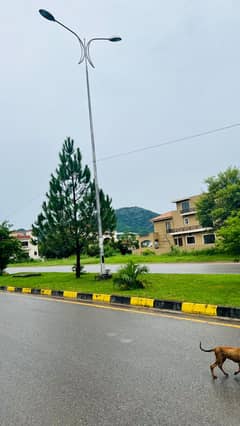 Prime Corner on main double road Plot for Sale D-12/4 Islamabad