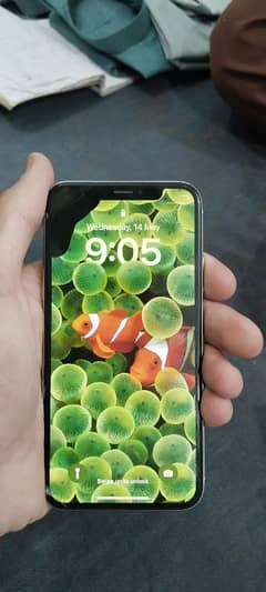 Iphone X