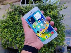 Iphon8 puls 256GB with box pta prvd