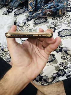 Iphone X s max