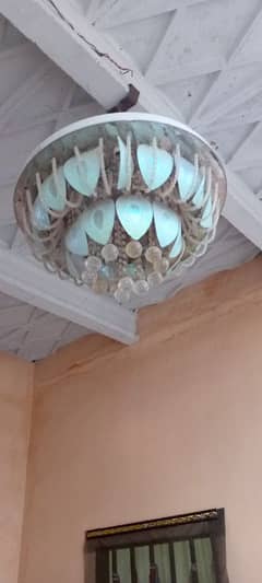 fanus new