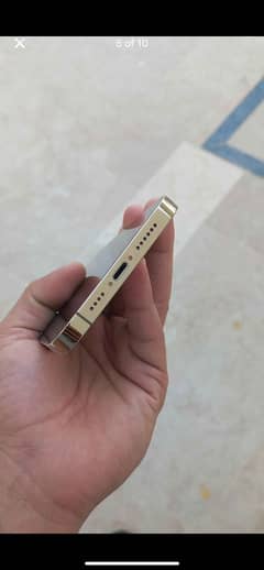 13 pro max golden
