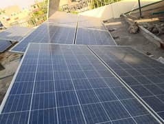 Trina solar 300 watt