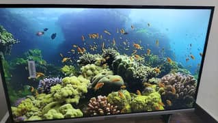 Smart andriod Led 32"