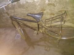 Bicycle Phoenix frame