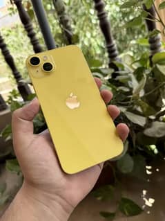 14 plus