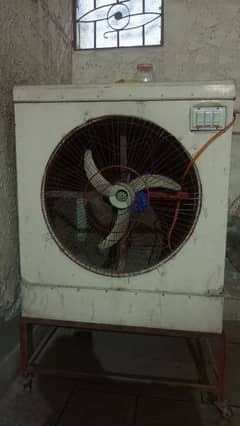 heavy weight Lahore cooler