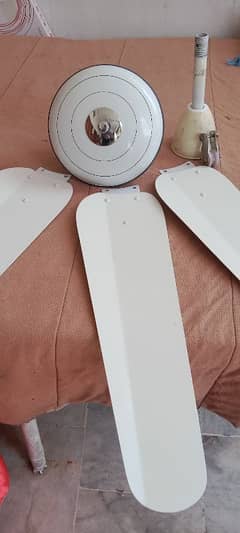 sk