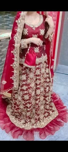deep mehroon clour golden work orgnza dupata